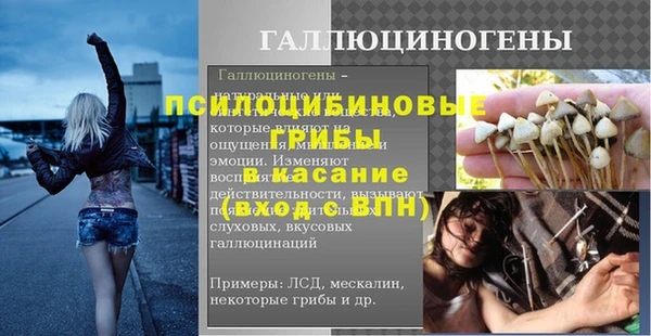 PSILOCYBIN Белоозёрский