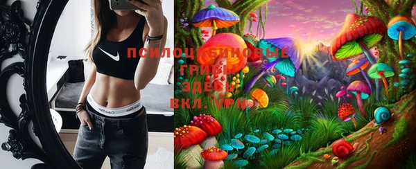 spice Белокуриха