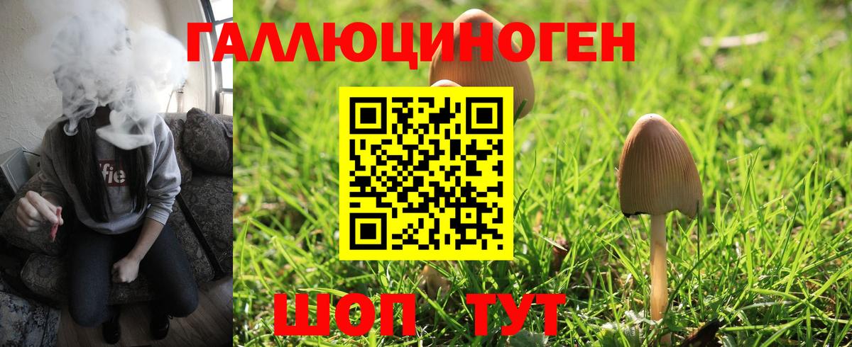 как найти закладки  Вход с VPN  Гай  Галлюциногенные грибы MAGIC MUSHROOMS 